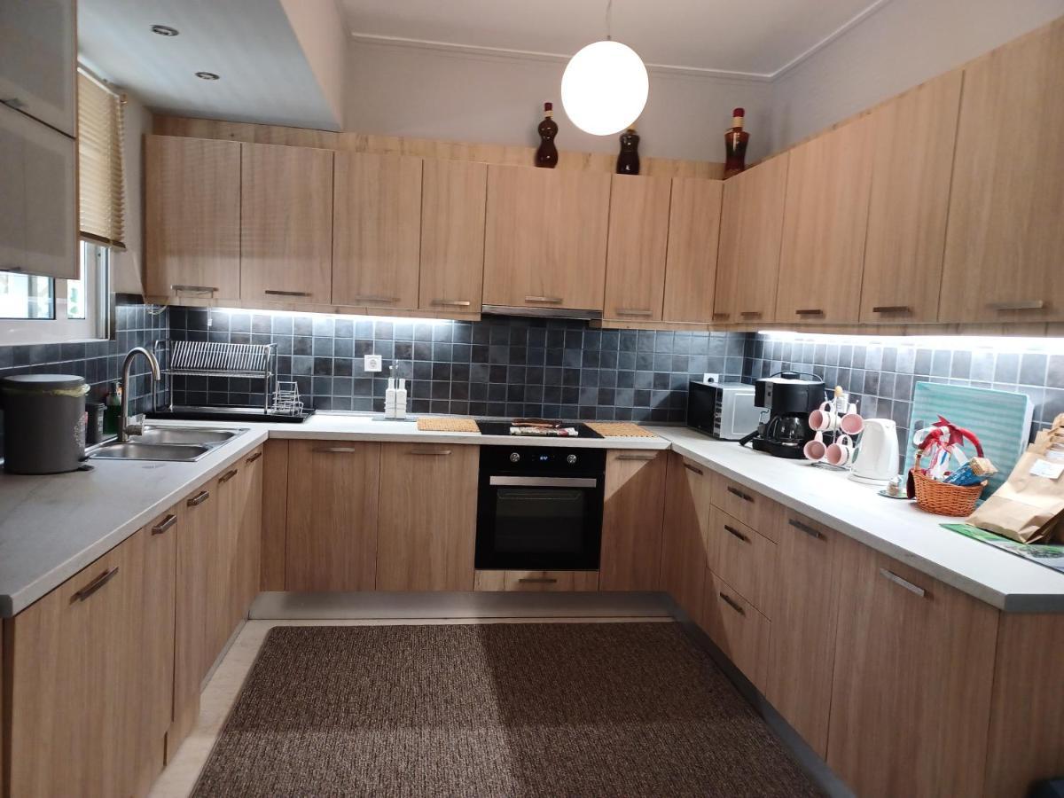 Zen Neapoli Penthouse Apartment Афіни Екстер'єр фото